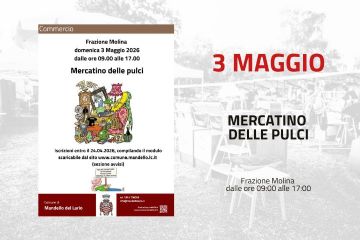 Mercatino delle pulci