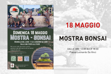Mostra Bonsai 
