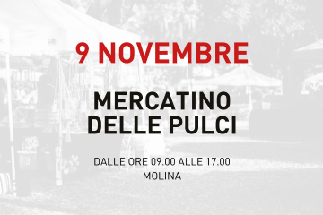 Mercatino delle pulci